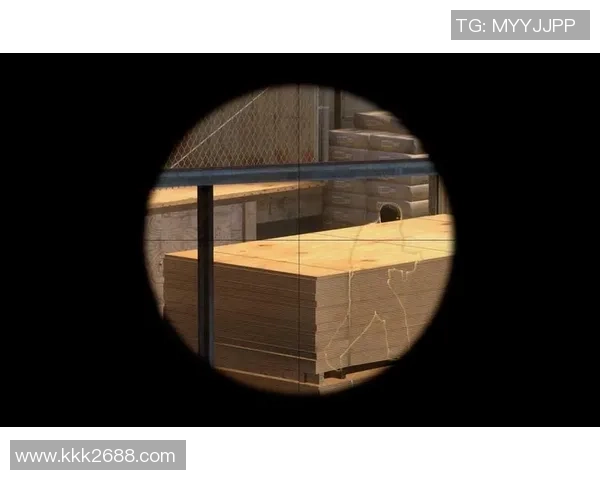 刘秀英独家分享CSGO游戏技巧与心得体会助你提升竞技水平 刘秀英独家分享CSGO游戏技巧与心得体会助你提升竞技水平